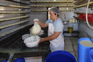 Woman farmer preparing cheese, Serra da Canastra, Sao Roque das Minas, Minas Gerais state, Brazil,