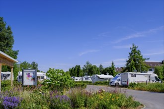 Camper site, Mettnau, Radolfzell, Baden-Württemberg, Germany, Europe