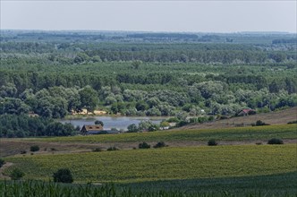 Landscape on the Saint George Branch, the southern arm of the Danube in the Danube Delta. Tulcea,