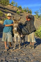 Children with donkey on path. Fogo. Cabo Verde. Africa