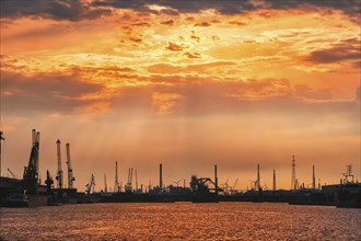 Port of Antwerp crane silhouettes on sunset. Antwerp, Belgium, Europe