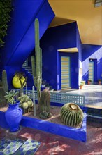 Morocco, Jardin Majorelle Botanical Garden in Marrakech, Africa