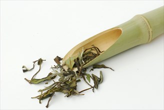 White tea, leaves, Pai Mu Tan