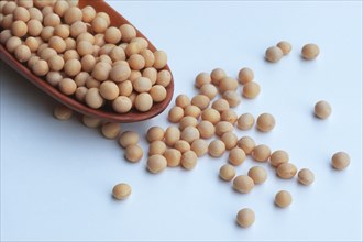 Soya beans, soya bean