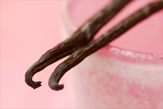 Vanilla beans (Vanilla planifolia)