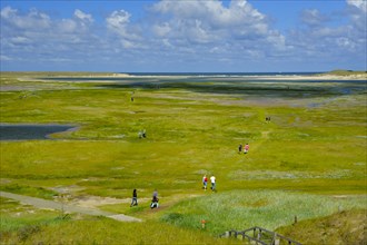 Nature reserve De Slufter, view from lookout dune, island Texel, North Sea, North Holland,