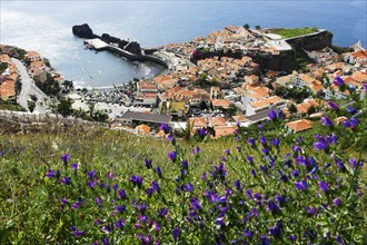 View of Camara de Lobos, Madeira, Portugal, Europe