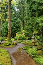 Path and stone lantern in Japanese garden, Park Clingendael, The Hague, Netherlands