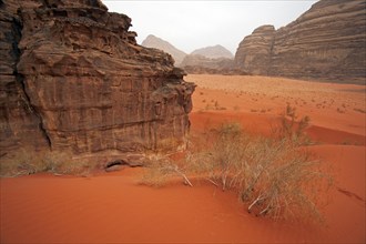 Eroded sandstone rock formation in the Wadi Rum desert, The Valley of the Moon in southern Jordan