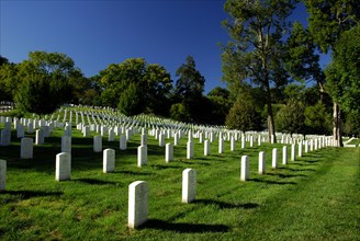 Gravestones, National Cemetery Arlington, Arlington, Virginia, USA, North America