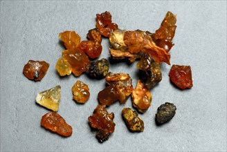 Commiphora habessinica-tree resin (Commiphora abyssinica), incense burning