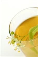 Glass of lime blossom tea, summer linden, large-leaved linden (Tilia platyphyllos) lime blossom tea