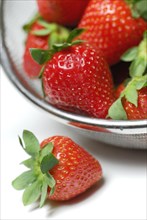 Strawberries in sieve (Fragaria x ananassa) , carbon copy