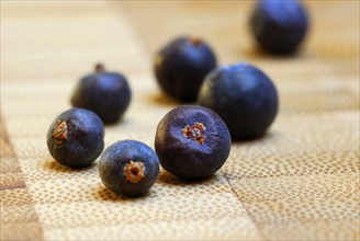 Juniper berries (Juniperus communis) dried