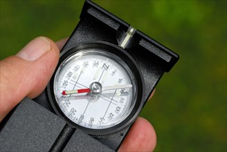 Compass in hand, orientation