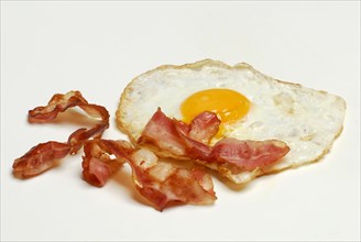 Fried bacon and fried egg, breakfast, egg