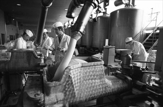 The work of the Westmilch dairy in the production of butter on 28.05.1980 in Her ford-Extertal,