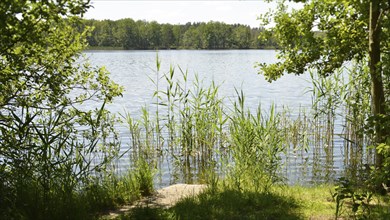 The Strelitz Lake District, part of the Mecklemburg Lake District, Germany, is an area of natural