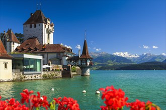 Oberhofen Castle, Thun, Lake Thun, Switzerland, Europe