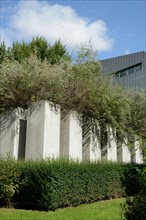 Jewish Museum Berlin, architect Daniel Libeskind, Garden of Exile, Berlin, Germany, Europe