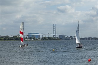 Sailing boats, Rügen Bridge, Altefähr, Rügen Island, Mecklenburg-Western Pomerania, Germany, Europe