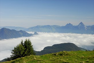 Valley in the Fog, Lake, Lake Lucerne, near Niederbauen, Canton Nidwalden, Switzerland, Europe