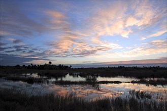 Merrit Island National Wildlife Refuge, Florida, USA, North America