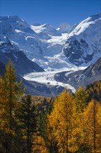 Morteratsch Glacier, Upper Engadine, Grisons, Switzerland, Europe