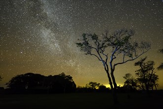 Starry sky, Cambyretá, Esteros del Iberá, Corrientes Province, Argentina, South America