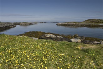 Archipelago in Norway