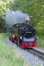 Rasender Roland steam railway, near Sellin, Rügen Island, Mecklenburg-Western Pomerania, Germany,