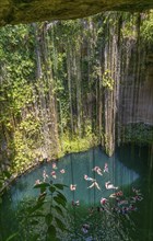 People swimming in limestone sinkhole pool, Cenote Ik kil, Pisté, Yucatan, Mexico, Central America