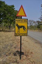 Warning Sign Painted dog, Attention African Wild Dogs, Hwange National Park, near Hwange,