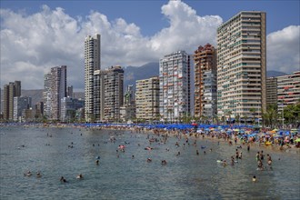 Many tourists on the beach in front of skyscrapers, Playa Levante, Benidorm, Alicante province,