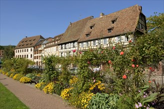 Old town, half-timbered houses, Wissembourg, Alsace, Weissenburg, France, Europe