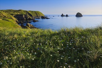 Balnakeil Bay, Sutherland, Scotland, United Kingdom, Europe