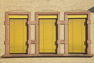 Three yellow closed windows at the Robert Koch School, house wall, facade, yellow, monochrome,