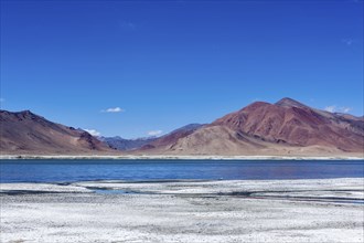 Tso Kar, fluctuating salt lake in Himalayas. Rapshu, Ladakh, Jammu and Kashmir, India, Asia