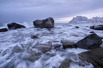 Rocks on beach of fjord of Norwegian sea in winter on sunset. Utakliev beach, Lofoten islands,