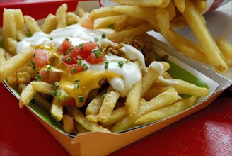 French fries with mayonnaise, garnished with tomatoes and chives, fast food