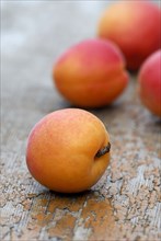 Apricots (Prunus armeniaca)