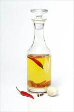 Bottle with chili oil, ingredients oil, chili peppers, garlic, peppercorns, piri-piri, pepperoni,