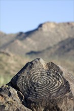 Rock art at Signal Hill, created by the Hohokam Indians, showing spiral petroglyph with the Tucson