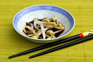 Bowl with bean sprouts, soy sauce and chopsticks, soy sprouts, soy sauce, sauce