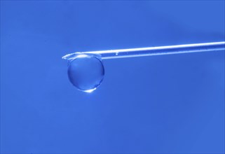 Macro image Covid vaccine, a drop of Moderna vaccine hangs on a vaccine needle