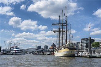 View across the Norderelbe with the 3-masted sailing ship Franeker