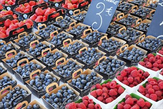 Fresh fruit and vegetables, market on the Cours Saleya, city centre, Nice, Département