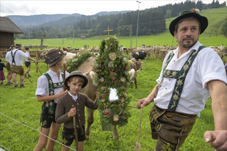 16. 09. 2022. Almabtrieb, cattle seperation in Thalkirchdorf, Markt Oberstaufen, Allgäu, Bavaria,