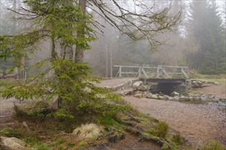 Bridge at the Oderteich, Nebel, Harz National Park, Lower Saxony, Germany, Europe