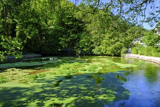 Aachquelle, Aachtopf, Radolfzeller Aach, Aach, Hegau, Baden-Württemberg, Germany, Europe
